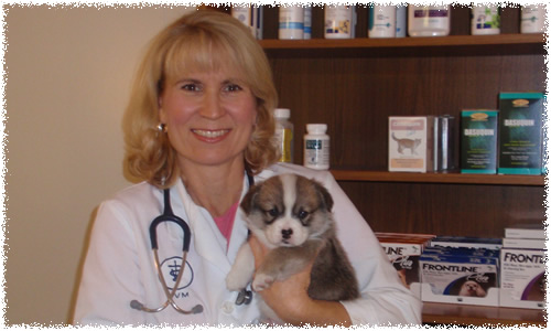 Dr. Pamela Armstrong Dr. Pamela Armstrong